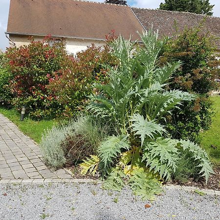 Les 7 Tilleuls - Gite Mesland Exteriör bild