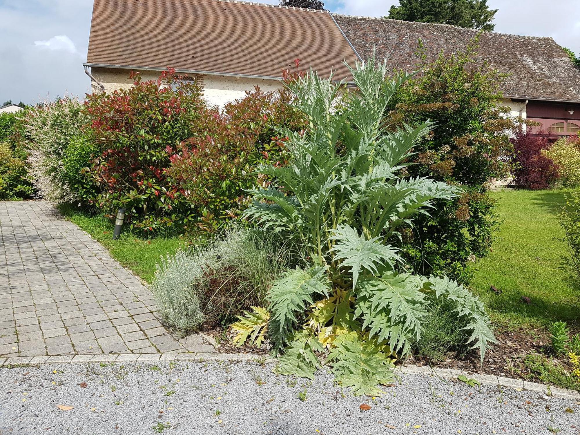 Les 7 Tilleuls - Gite Mesland Exteriör bild